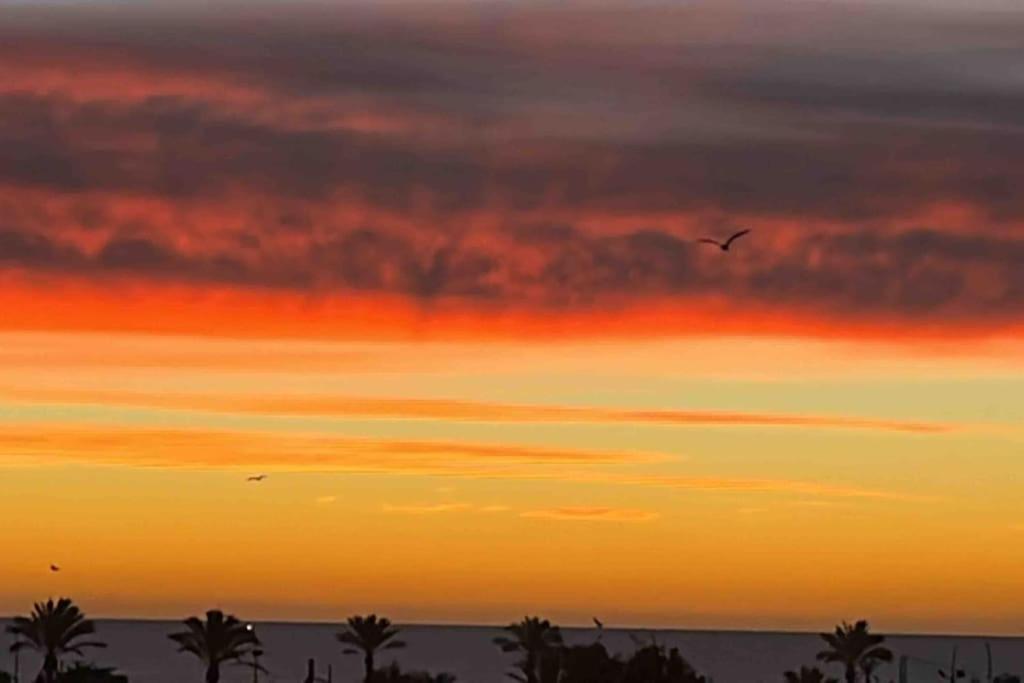Vinaros Coquet Appartement Vue Mer 外观 照片